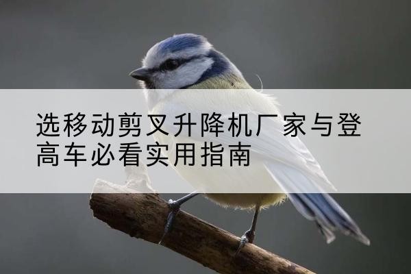 峄城电动升降机厂家-选移动剪叉升降机厂家与登高车必看实用指南