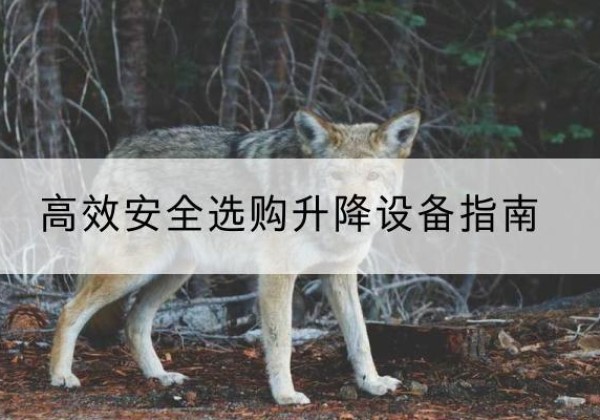 峄城升降货梯厂家推荐-*安全选购升降设备指南